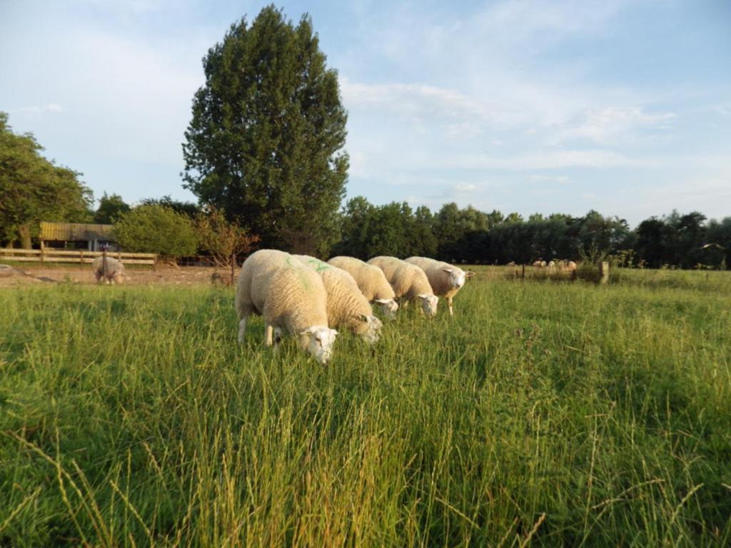 Landrust Daire Horssen Dış mekan fotoğraf