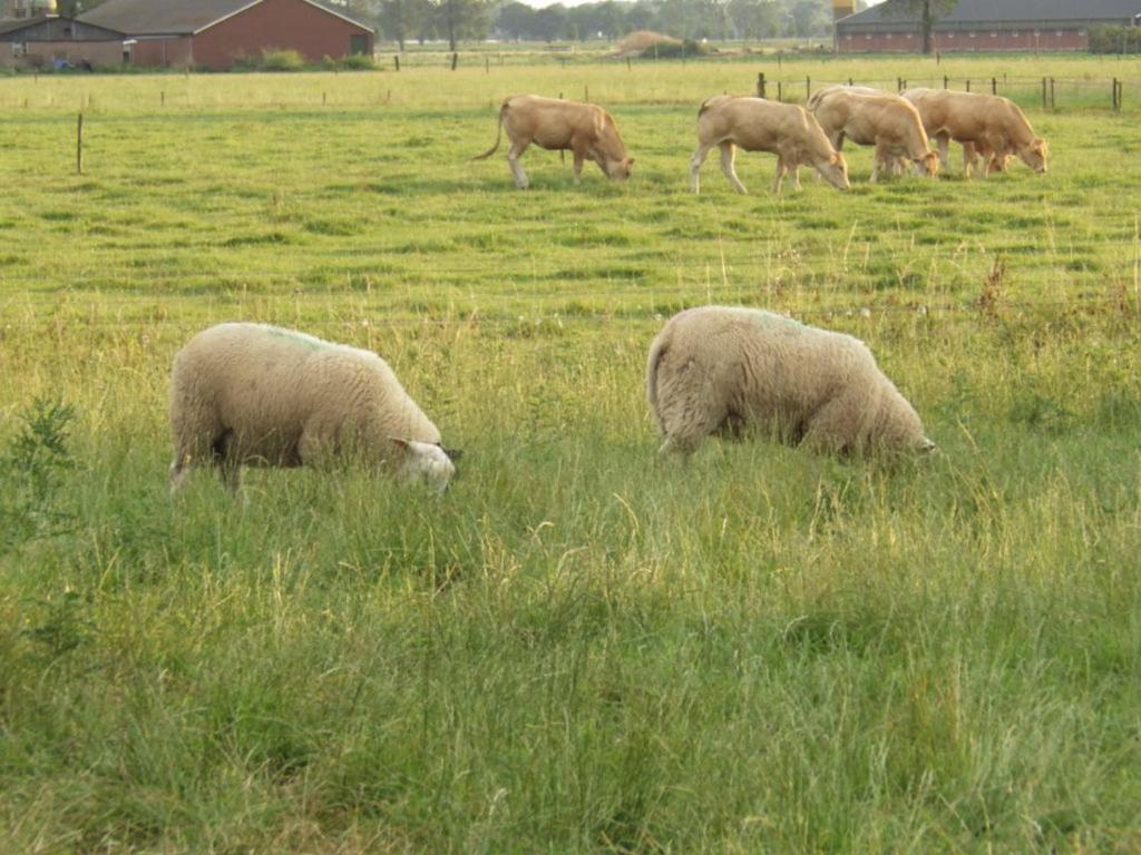 Landrust Daire Horssen Dış mekan fotoğraf